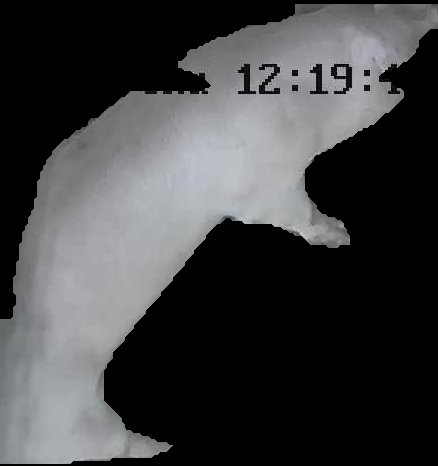 Crop