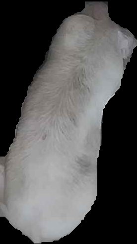 Crop