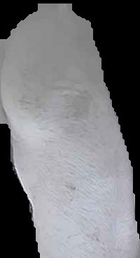 Crop