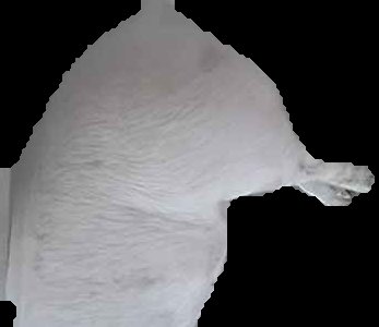 Crop