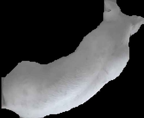 Crop
