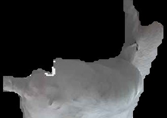Crop