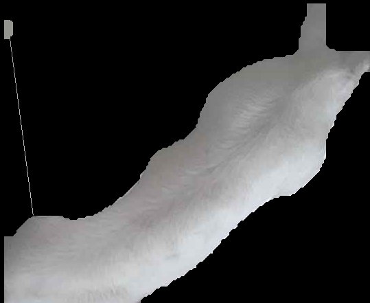 Crop
