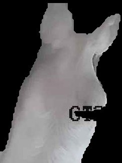 Crop
