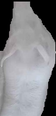 Crop