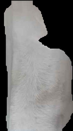 Crop