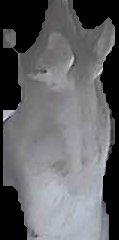 Crop