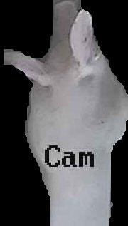 Crop