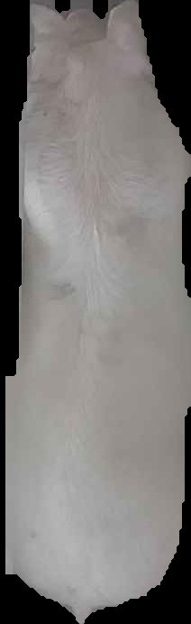 Crop