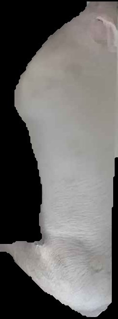 Crop