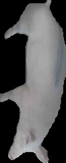 Crop