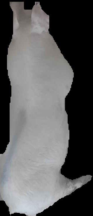 Crop