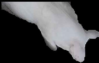 Crop