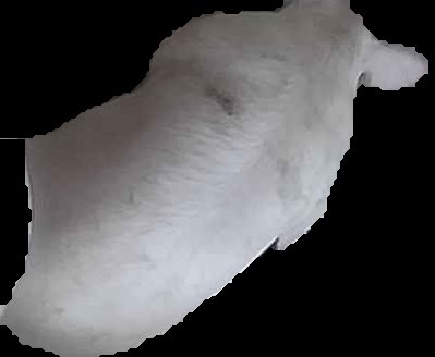 Crop