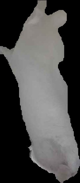 Crop