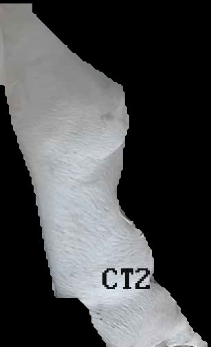 Crop