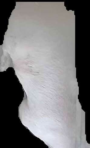 Crop