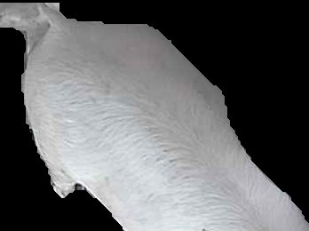 Crop