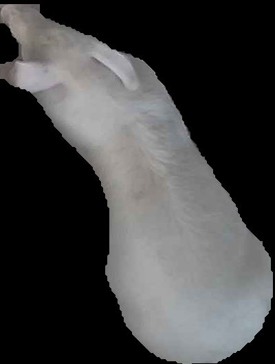 Crop