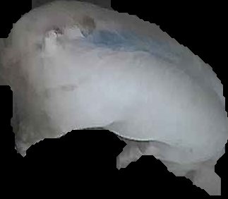 Crop