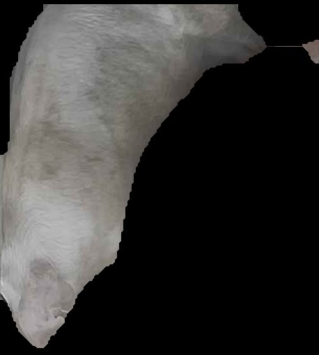 Crop