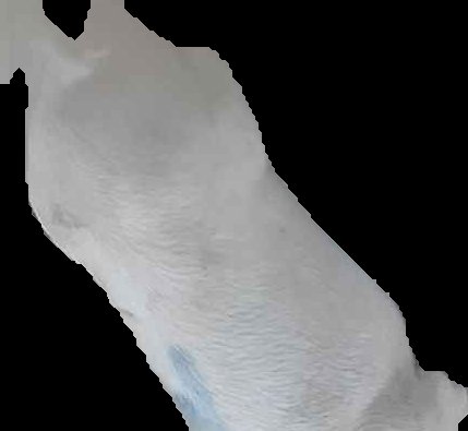 Crop