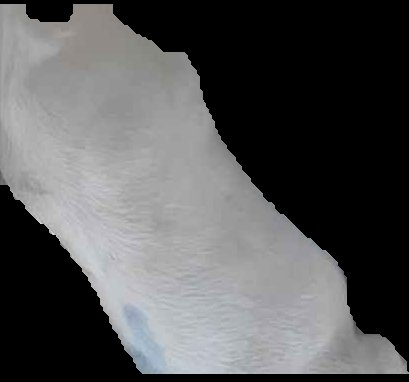 Crop