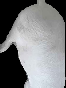 Crop
