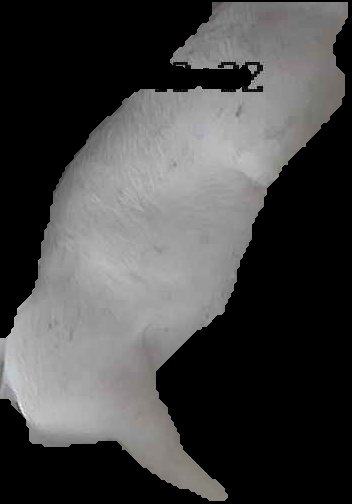 Crop