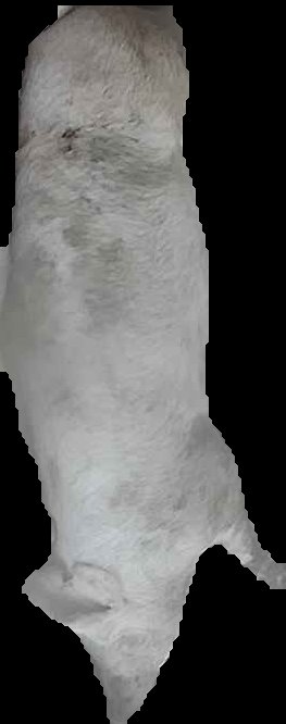 Crop
