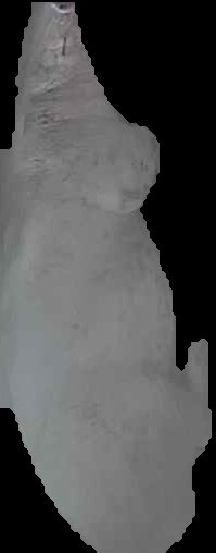 Crop