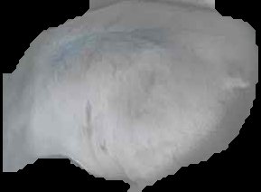 Crop