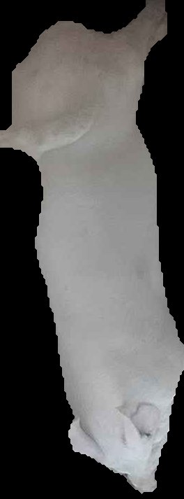 Crop