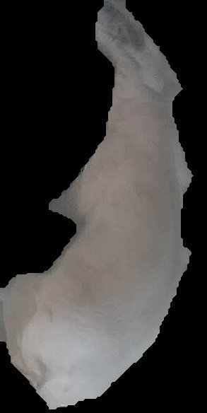 Crop