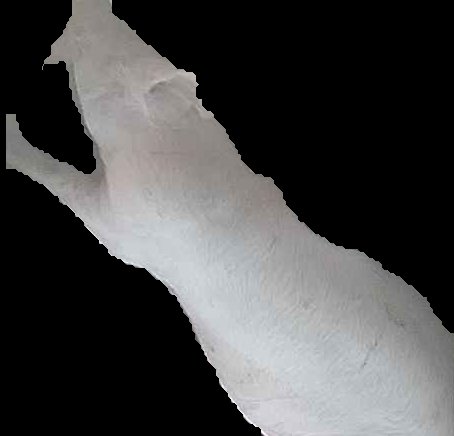Crop