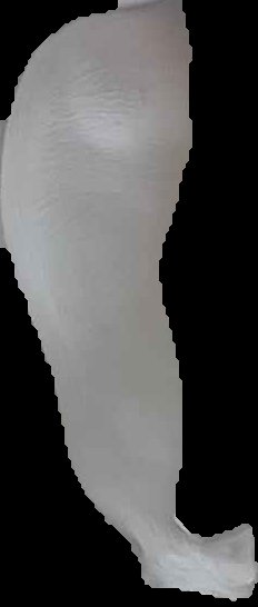 Crop