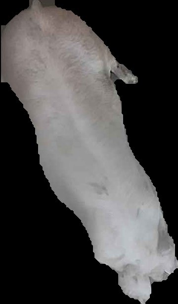 Crop