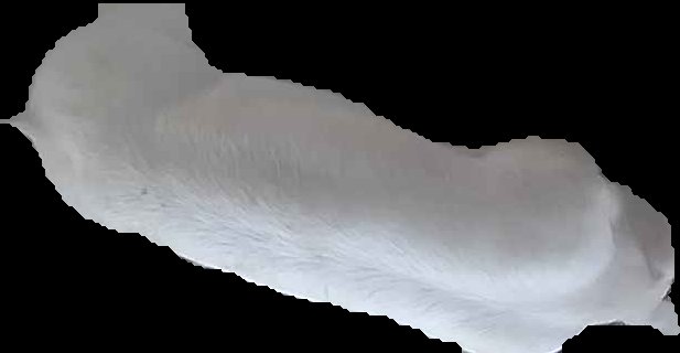 Crop