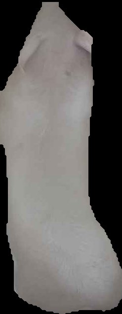 Crop