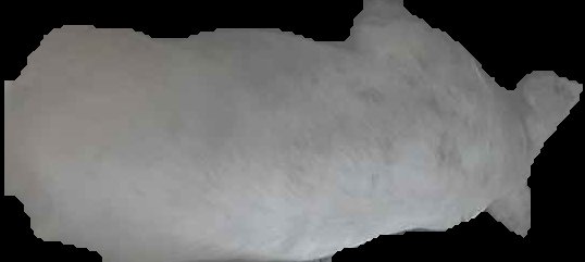 Crop