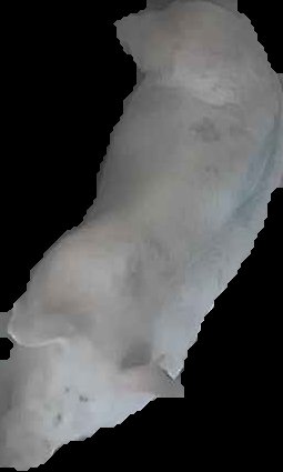 Crop