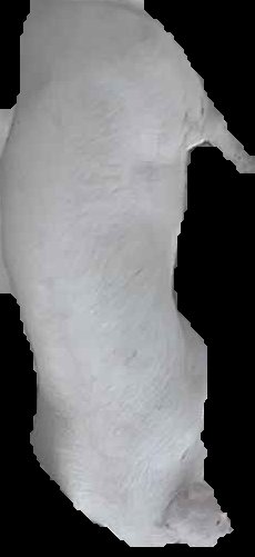 Crop