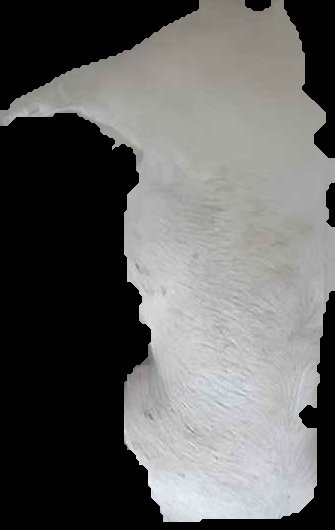 Crop