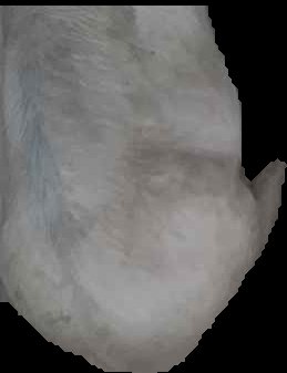 Crop