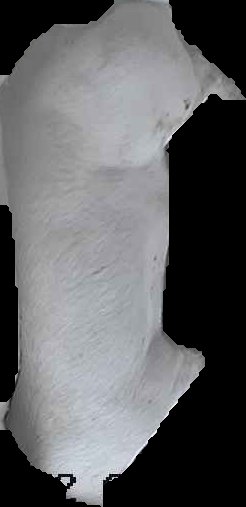Crop