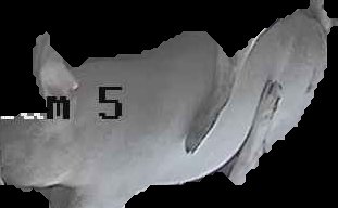 Crop
