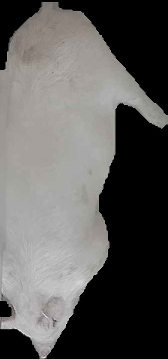 Crop