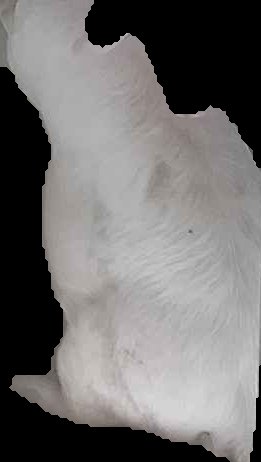 Crop