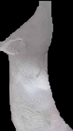 Crop
