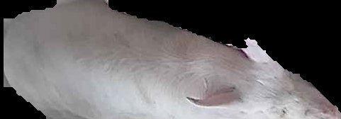 Crop